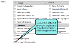 Option to print the report after generation is displayed in the Report Editor.