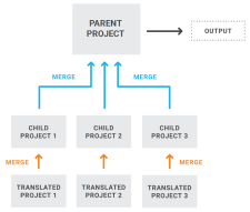 A diagram showing a combination of different project structures.