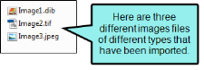 Image showing three different image files of different types that have been imported.