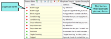 Image of example showing three duplicate glossary terms.