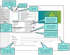 Image pointing out the various parts of the Insert Image dialog.